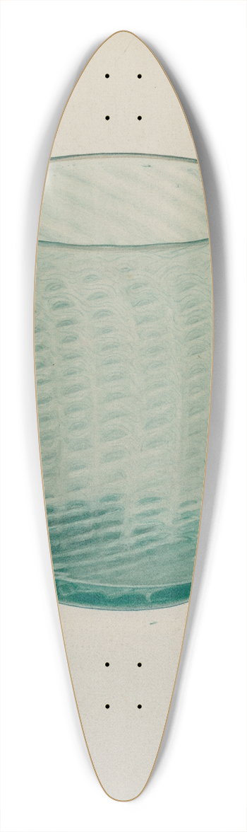 V.L. Vance - Flip Glass 39.3 inch art pintail longboard deck