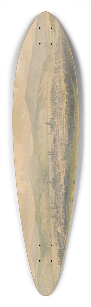 Vojtech Klimkovi - View Of Kosice 39.3 inch art pintail longboard deck