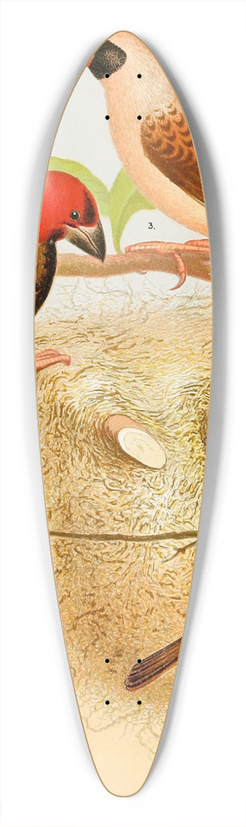 W. A . Blakston - Weaver Birds 39.3 inch art pintail longboard deck