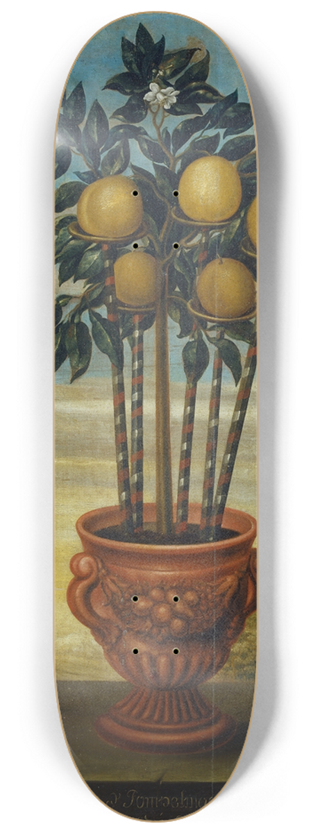 David von Cln - Orange tree in an urn 8.25 inch art skate deck