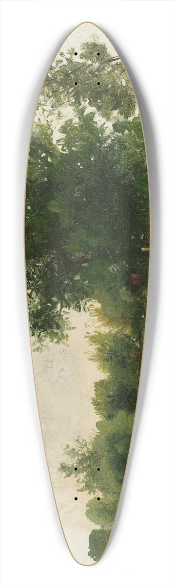 Wadysaw Podkowiski - View of Saska Kpa 39.3 inch art pintail longboard deck