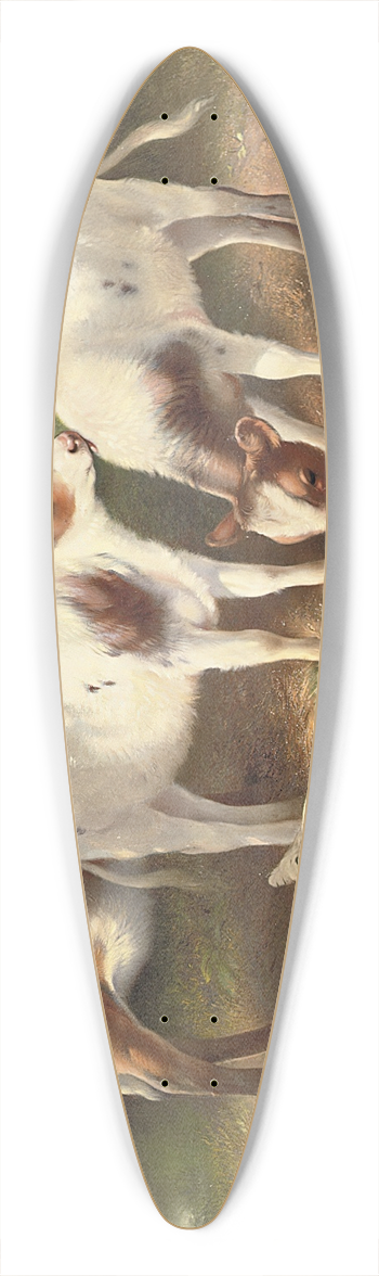 Walter Hunt - Farmyard friends 39.3 inch art pintail longboard deck