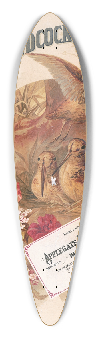 Wells & Hope Co. - Woodcock whiskey 39.3 inch art pintail longboard deck