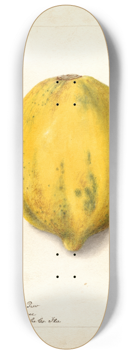 Deborah Griscom Passmore - Carica papaya 8.25 inch art skate deck