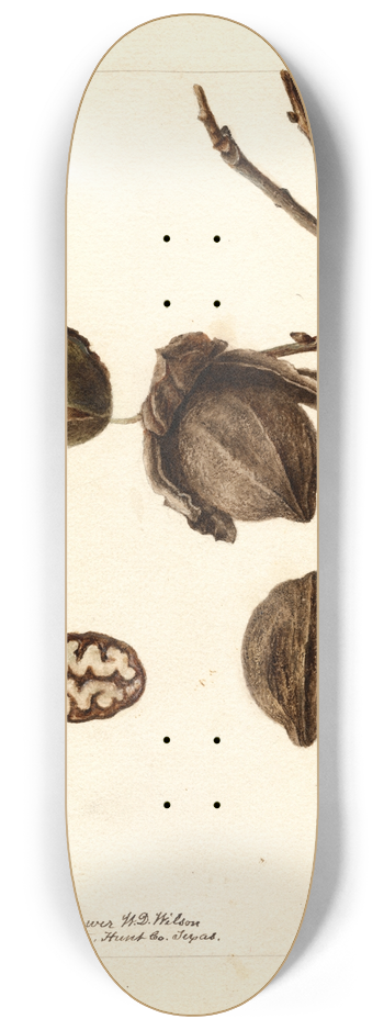 Deborah Griscom Passmore - Carya: Wilson Hybrid 8.25 inch art skate deck