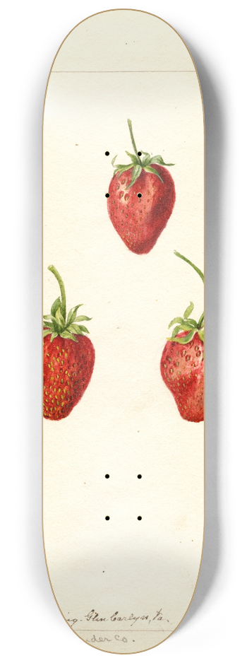Deborah Griscom Passmore - Fragaria: Maida 8.25 inch art skate deck