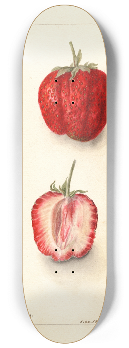 Deborah Griscom Passmore - Fragaria: Monett 8.25 inch art skate deck