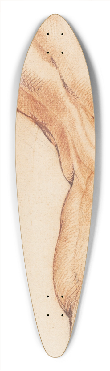 Willem Panneels - Anatomical Study (corch). A mans flayed right leg seen from the back, turned to the right 39.3 inch art pintail longboard deck