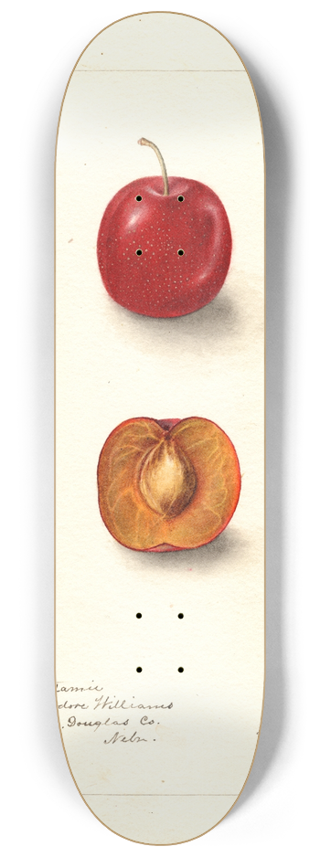Deborah Griscom Passmore - Prunus domestica: Forewattamie 8.25 inch art skate deck