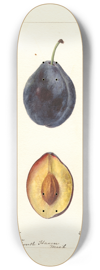 Deborah Griscom Passmore - Prunus domestica: Grand Duke 8.25 inch art skate deck