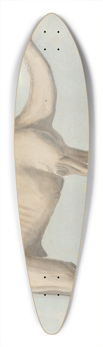 Willey Reveley - A Camel 39.3 inch art pintail longboard deck