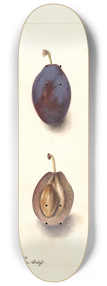 Deborah Griscom Passmore - Prunus domestica: Splendor 8.25 inch art skate deck