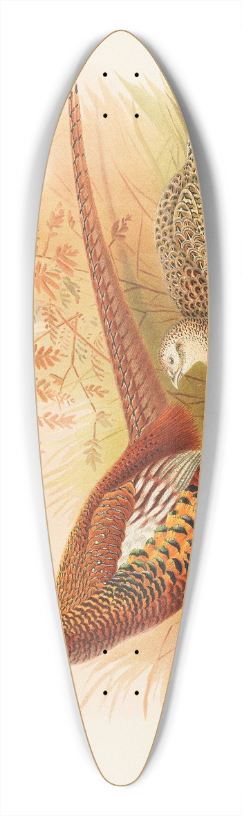 William Beebe - Prince of Wales Pheasant 39.3 inch art pintail longboard deck