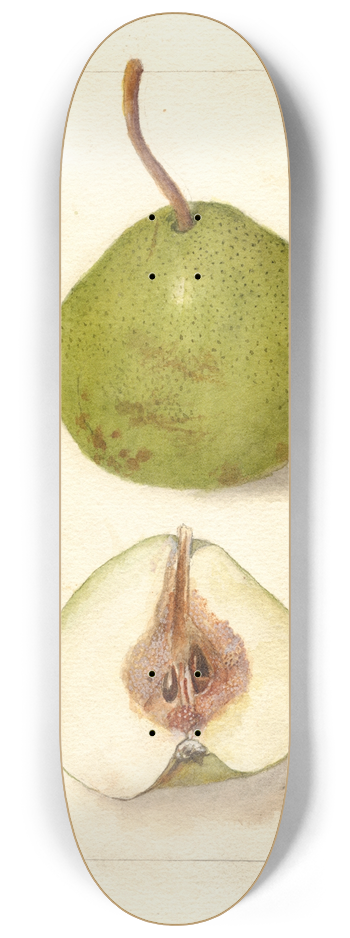 Deborah Griscom Passmore - Pyrus communis: Holland 8.25 inch art skate deck