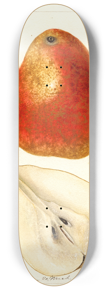 Deborah Griscom Passmore - Pyrus communis: Ogerean 8.25 inch art skate deck