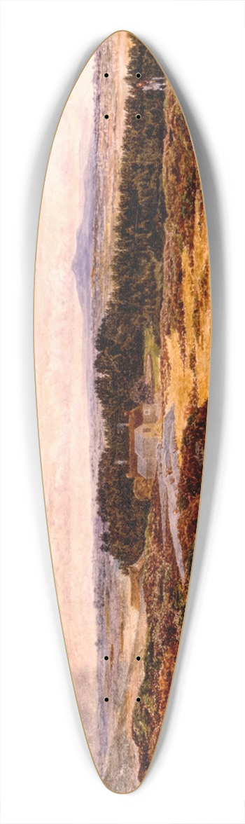 William Davis - View from Bidston Hill 39.3 inch art pintail longboard deck