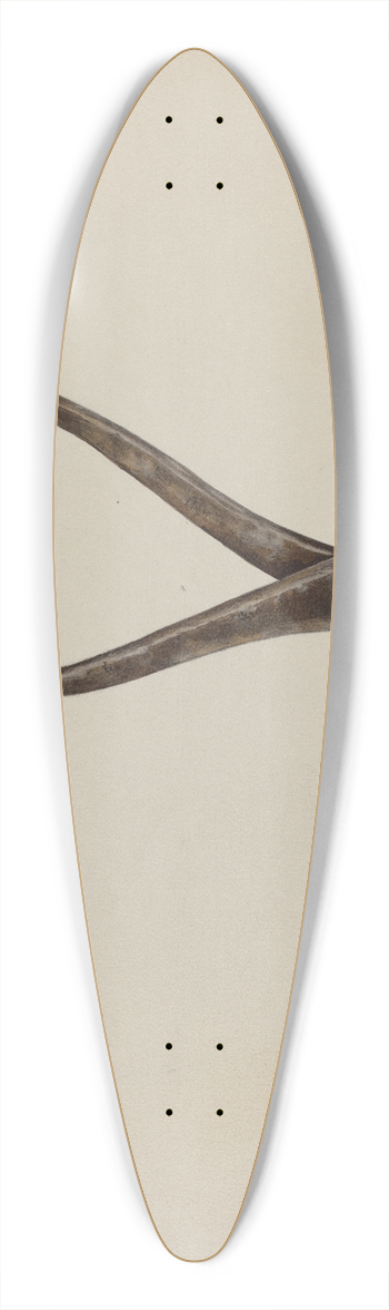 William Frank - Bullet Mold 39.3 inch art pintail longboard deck
