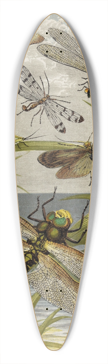 William Houghton - Neuroptera 39.3 inch art pintail longboard deck