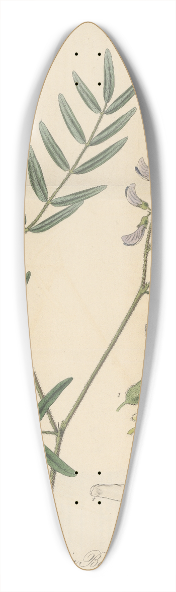 William Jackson Hooker - Dalbergia Barclayii 39.3 inch art pintail longboard deck