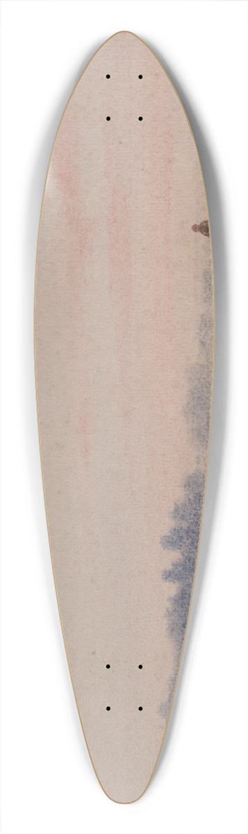 William Mathew Hodgkins - Taieri Plains, Otago 39.3 inch art pintail longboard deck