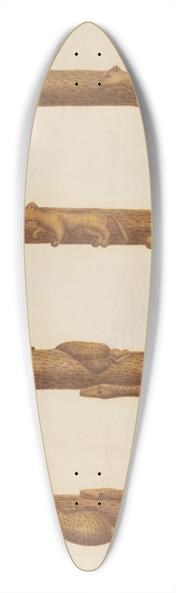 William McAuley - Walking Stick 39.3 inch art pintail longboard deck