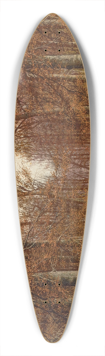 William Mckendree Snyder - Beech Trees 39.3 inch art pintail longboard deck