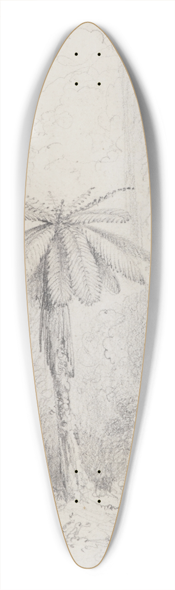 William Swainson - Silver leaved fern, Hutt forest 39.3 inch art pintail longboard deck