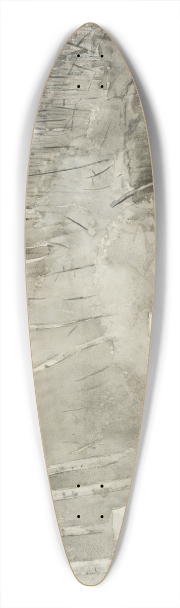 Winslow Homer - Camp in Canada 39.3 inch art pintail longboard deck