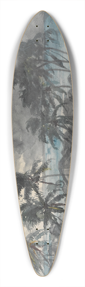 Winslow Homer - Storm,Bahamas 39.3 inch art pintail longboard deck