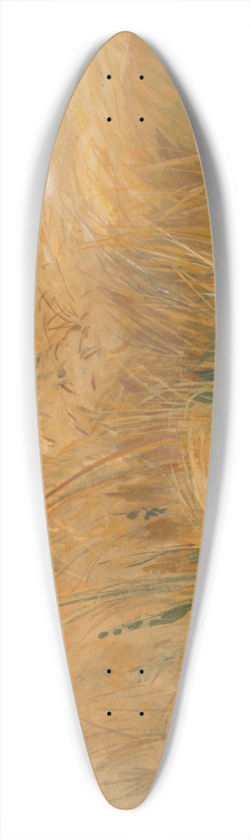 Wodzimierz Tetmajer - Kosy (Field and cereal studies) 39.3 inch art pintail longboard deck
