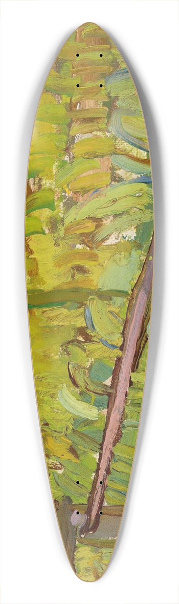Zygmunt Waliszewski - Landscape 39.3 inch art pintail longboard deck