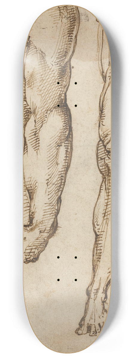 Domenico Beccafumi - Anatomical Studies 8.25 inch art skate deck