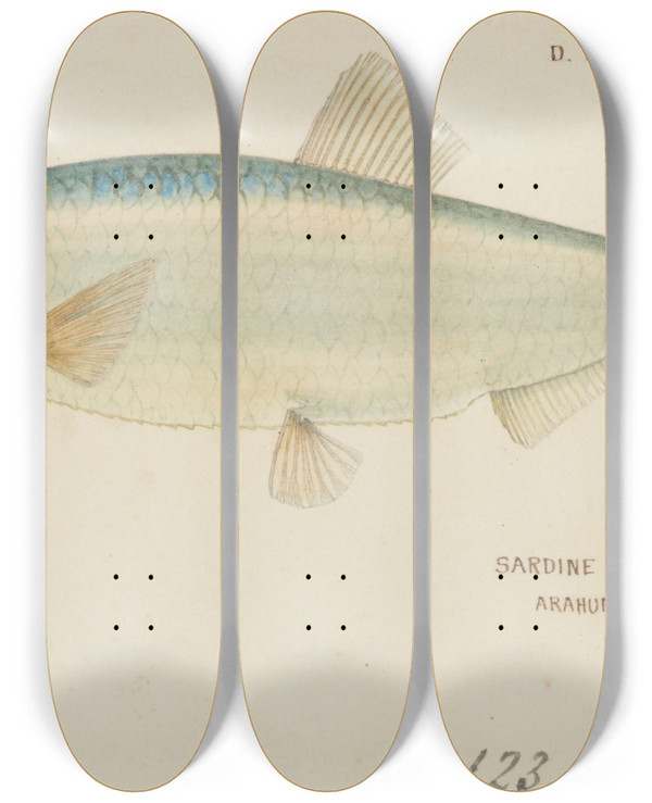 Triptych art skateboard deck of Frank Edward Clarke Sardine by Frank Edward Clarke (1849-1899)