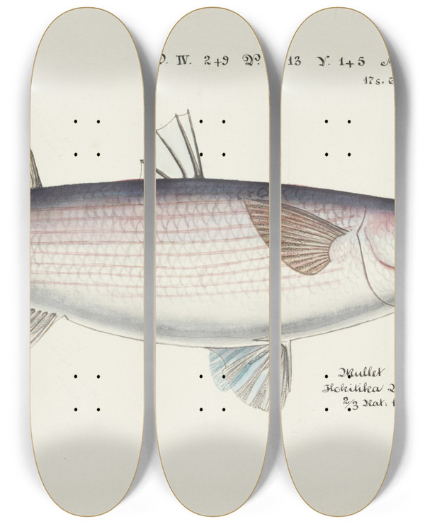 Triptych art skateboard deck of Frank Edward Clarke Mullet by Frank Edward Clarke (1849-1899)