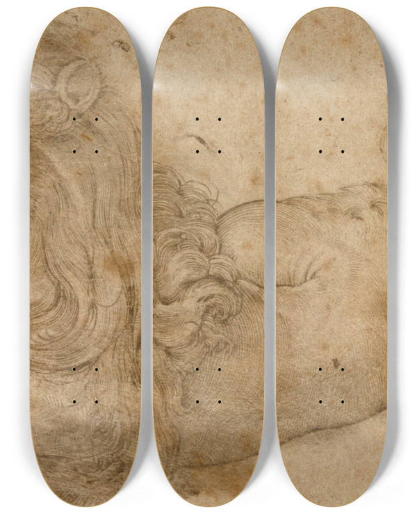 Triptych art skateboard deck of Lucas Cranach The Elder Study Of A Lion by Lucas Cranach The Elder (1472-1553)