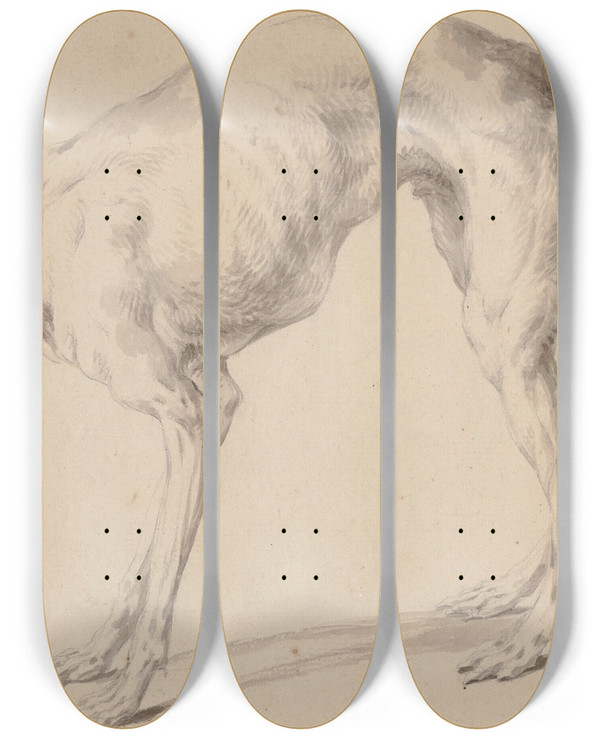 Triptych art skateboard deck of Johann Elias Ridinger Study Of A Greyhound by Johann Elias Ridinger (1698-1767)