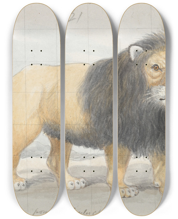 Triptych art skateboard deck of Charles Hamilton Smith Cape Lion by Charles Hamilton Smith (1776-1859)