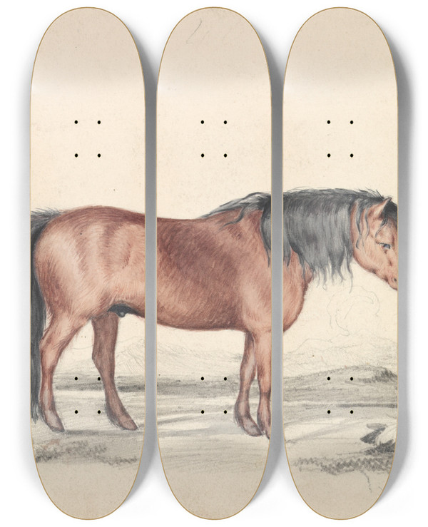 Triptych art skateboard deck of James Stewart Shetland Pony by James Stewart