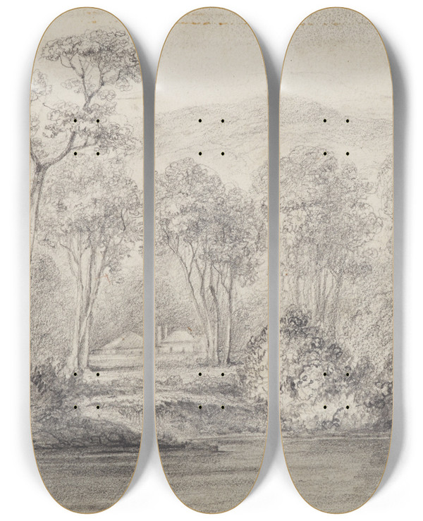 Triptych art skateboard deck of William Swainson Newry Mr Molesworths River Hutt by William Swainson (1789-1855)