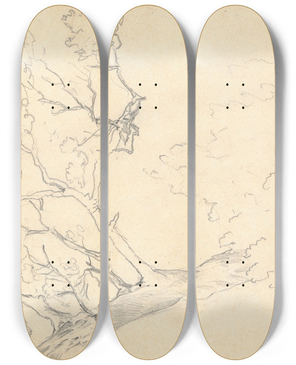 Triptych art skateboard deck of Thomas Bradshaw Sketch Of A Large Tree by Thomas Bradshaw (1767)