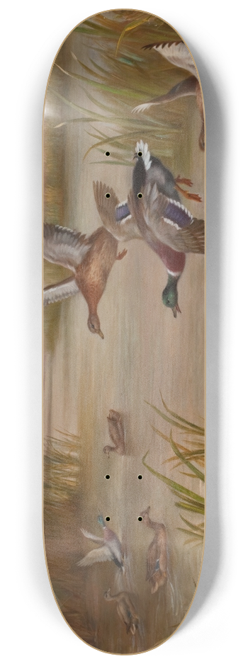 Edgar Hunt - Ducks in Flight 8.25 inch art skate deck