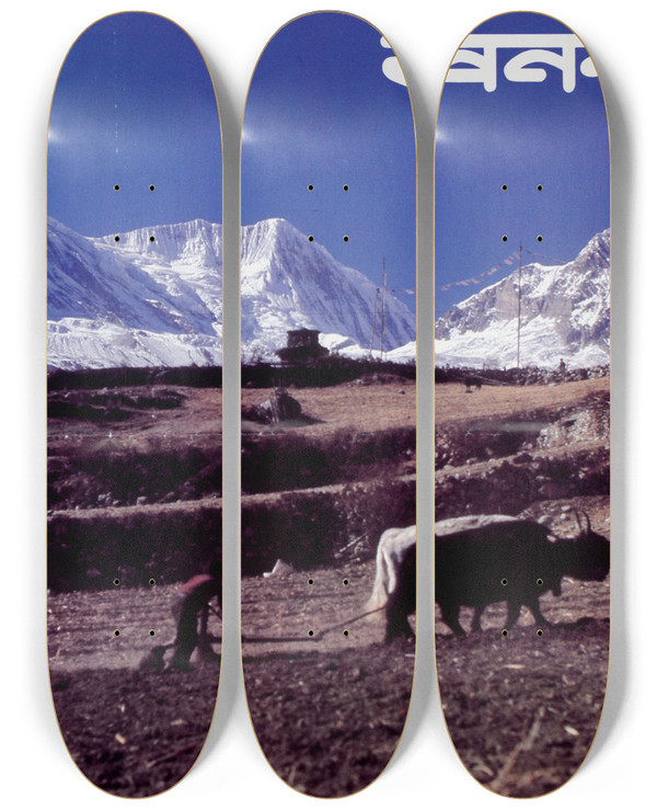 Triptych art skateboard deck of Us Information Agency Untitled Foreign Language Poster by U S Information Agency (1953-1999)
