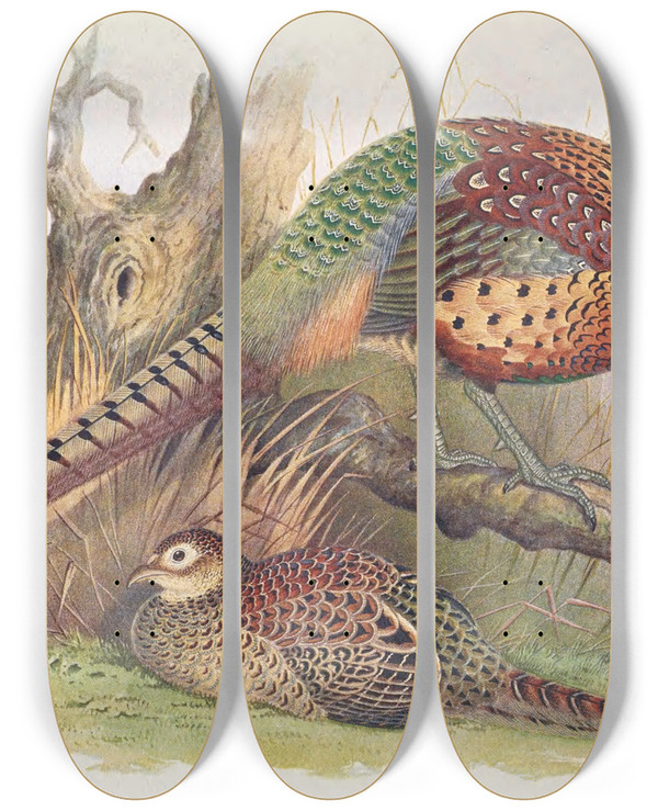 Triptych art skateboard deck of Henry Jones Kweichow Pheasant by Henry Jones (1838-1921)
