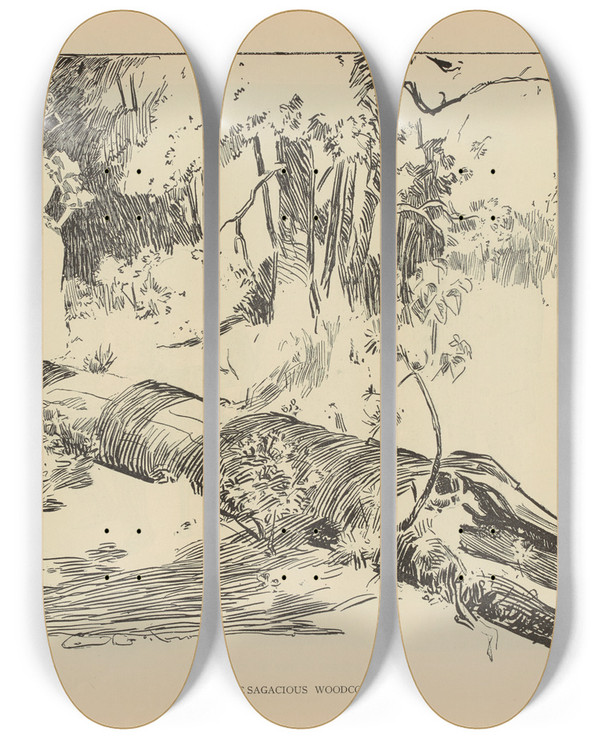 Triptych art skateboard deck of Charles Dana Gibson The Sagacious Woodcock by Charles Dana Gibson (1867-1944)