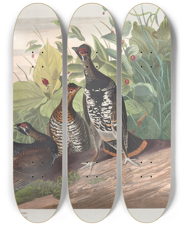 Triptych art skateboard deck of John James Audubon Spotted Grous by John James Audubon (1785-1851)