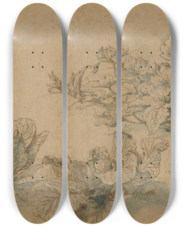 Triptych art skateboard deck of Abraham Bloemaert Studies Of A Marrow Plant And Cabbages by Abraham Bloemaert (1564-1651)