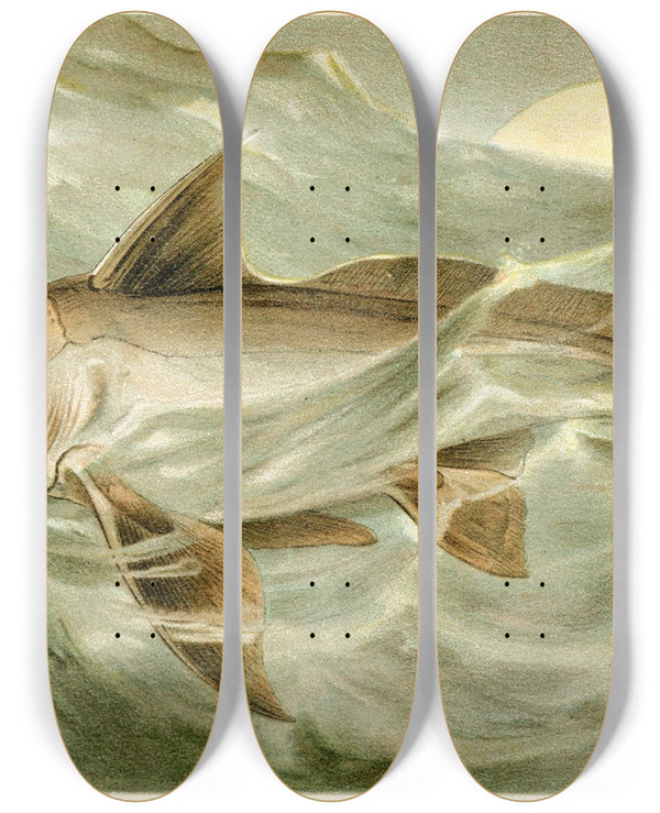 Triptych art skateboard deck of Pierre Jacques Smit Chimaera by Pierre Jacques Smit (1863-1960)