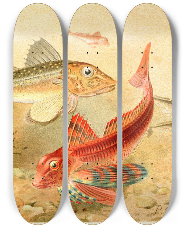 Triptych art skateboard deck of Pierre Jacques Smit Gurnards by Pierre Jacques Smit (1863-1960)