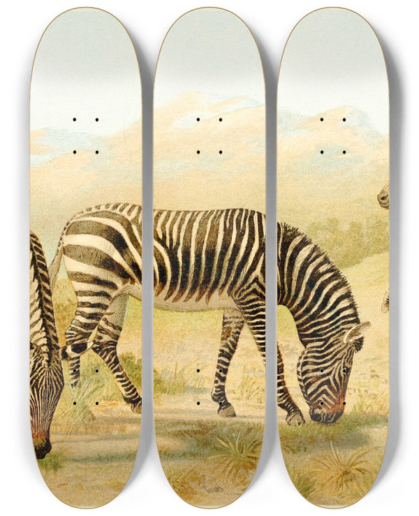 Triptych art skateboard deck of Pierre Jacques Smit Zebra by Pierre Jacques Smit (1863-1960)