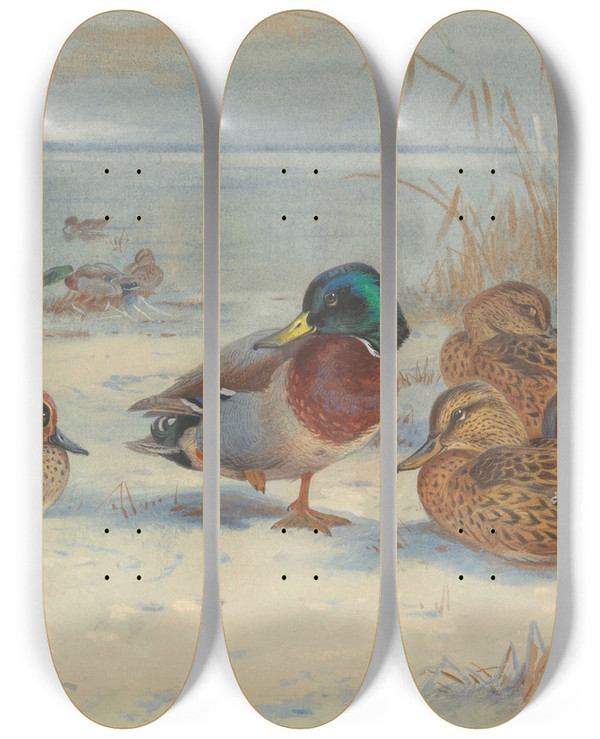 Triptych art skateboard deck of Archibald Thorburn Mallard And Teal In The Snow by Archibald Thorburn (1860-1935)